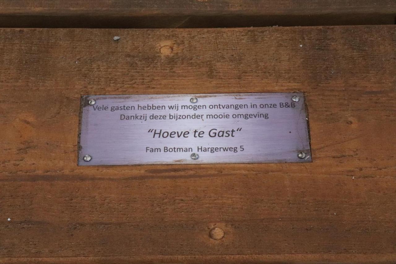 Hoeve Te Gast - Vakantieboerderij Groet Εξωτερικό φωτογραφία