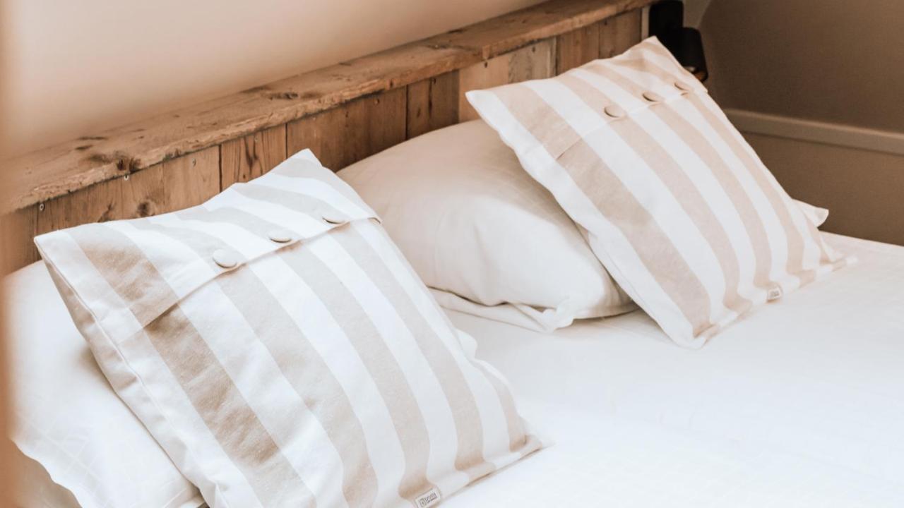Hoeve Te Gast - Vakantieboerderij Groet Εξωτερικό φωτογραφία