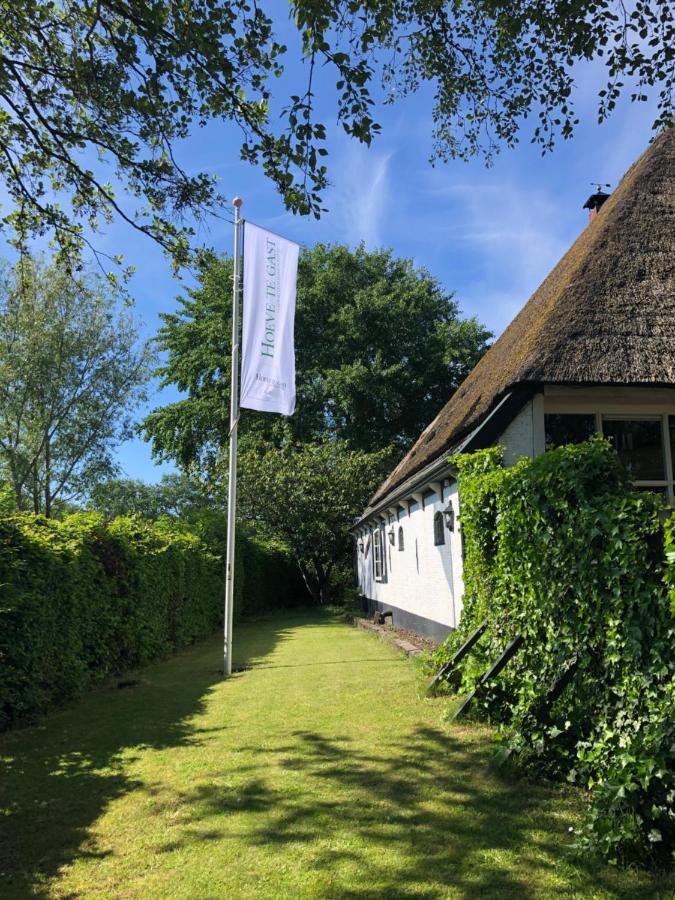 Hoeve Te Gast - Vakantieboerderij Groet Εξωτερικό φωτογραφία
