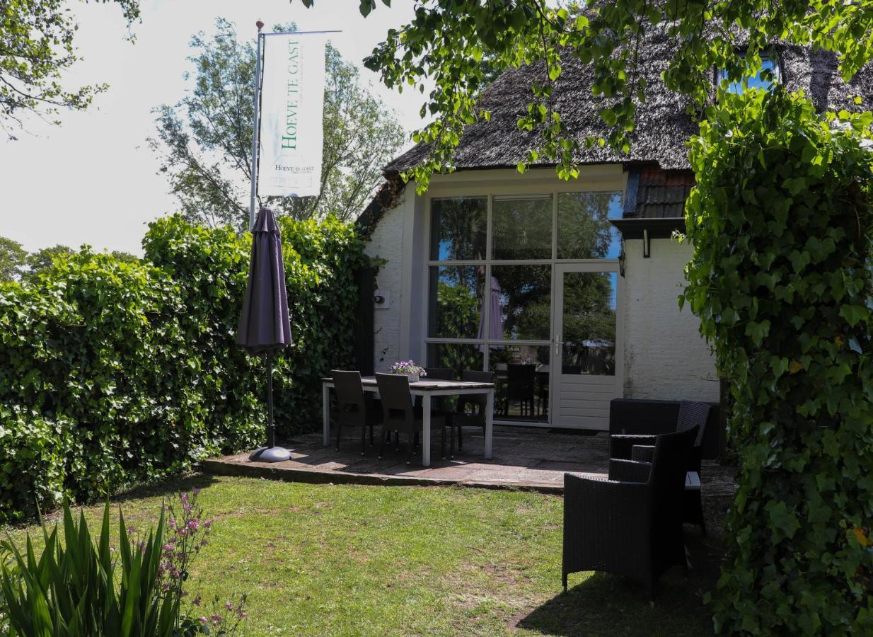 Hoeve Te Gast - Vakantieboerderij Groet Εξωτερικό φωτογραφία